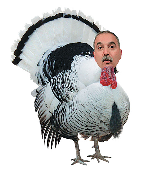 Turkey_CharlieWebster_main
