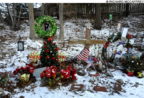 _DSC0311_main