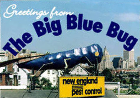 bluebug6INSIDE.jpg bluebug6INSIDE.jpg