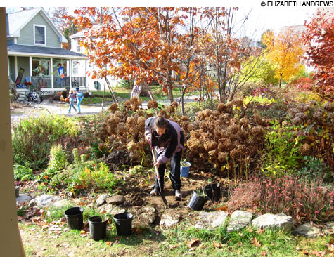 feat_cohousing_1_main