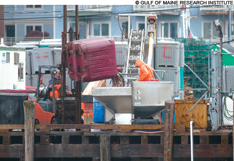 feat_groundfish_4775_main feat_groundfish_4775_main