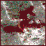 060127_barsblood_list