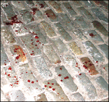 BLOOD FROM THE STONES One-punch fight splatters the ground