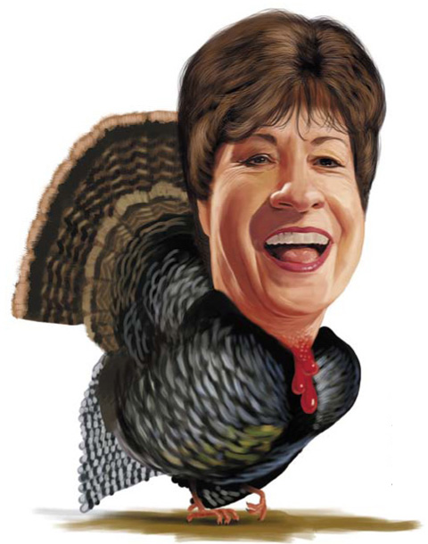 feat_turkeys_main feat_turkeys_main