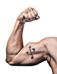 main_muscle_220