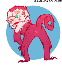monkeynews_MADmonkey220