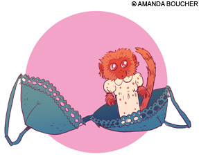 monkeynews_holder_220 monkeynews_holder_220