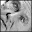 060303_reilly_list