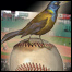 060825_list_grackle.jpg