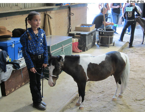 Mini-Horse-Show_main Mini-Horse-Show_main