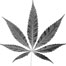 TJI031210_Pot_list
