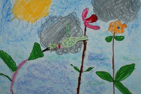 TJI_Birds_main