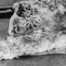 TJI_Burningmonk_list