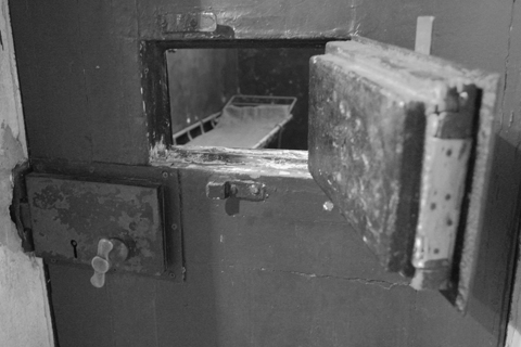 TJI_CellDoor_main