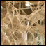 TJI_RISD_list