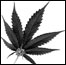 0815_potLIST
