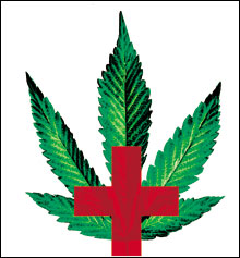 EVERYONE, IT SEEMS knows someone who would like to use medical marijuana to cope with such debilitating illnesses as cancer, AIDS, and multiple sclerosis.