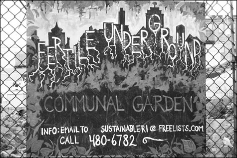 fertile-underground-image_m