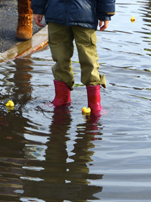 tji_kingtide_main tji_kingtide_main