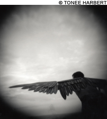 tji_portes_Icarus_main tji_portes_Icarus_main