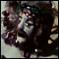 tji_spacevideo_list