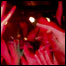 070420_mideast_list