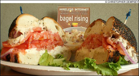 090415_Bagel_m 090415_Bagel_m