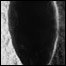 090130_cocoon_list