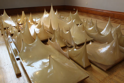ART031210_RaisedField_main