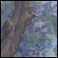 090213_dyer_list