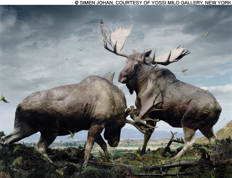Untitled-133,-2005-(Moose)2