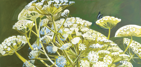 art_LoisDodd_CowParsnip_mai art_LoisDodd_CowParsnip_mai
