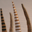 art_MERC_Shoots_list