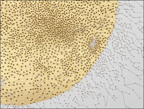 art_Tropos_gould2_main art_Tropos_gould2_main