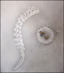 art_aucocisco_main art_aucocisco_main
