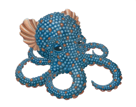 art_jadafitch_octopus art_jadafitch_octopus
