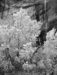 cottonwoods-waterfall_mai cottonwoods-waterfall_mai