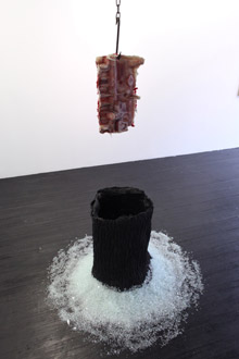 nader sadek
