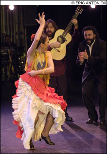 NOCHE FLAMENCA: No Riverdance, only the gifted individuality of its interpreters.