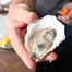 list_oysters_66